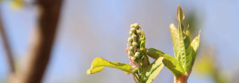 Datenschutzerklärung
